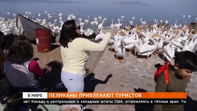 Прямая трансляция пользователя efirtvr2 2 смотреть онлайн