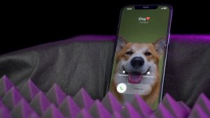 Standard iPhone ringtone «Dreams» | Стандартная мелодия звонка iPhone «Грезы»