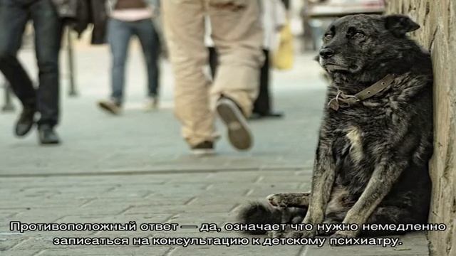 Тест «Злое, Счастливое и Несчастное животное»: описание задания, расшифровка смотреть онлайн