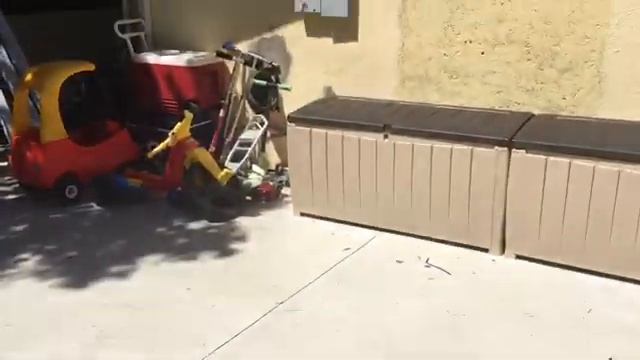 Chiropractor Torrance CA | Ringing In Ears At Taylor Chiropractic & Laser Center