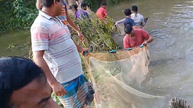Village big pond fish catching video _ Awesome fish catching by net смотреть онлайн