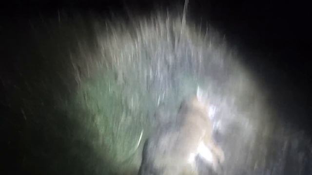 Охота на хищника 2023г №12 смотреть онлайн