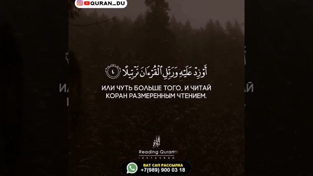 Коран Сура 73 «Закутавшийся»
Мекканская сура
20 аятов
29 джуз смотреть онлайн