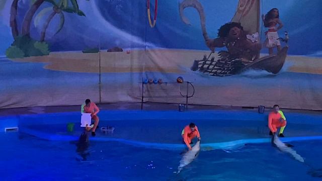 Дельфины смотреть онлайн