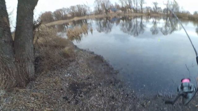 Рибалка на міському пляжі Прилук! смотреть онлайн