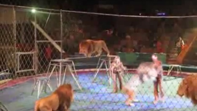 Происшествие на арене цирка смотреть онлайн