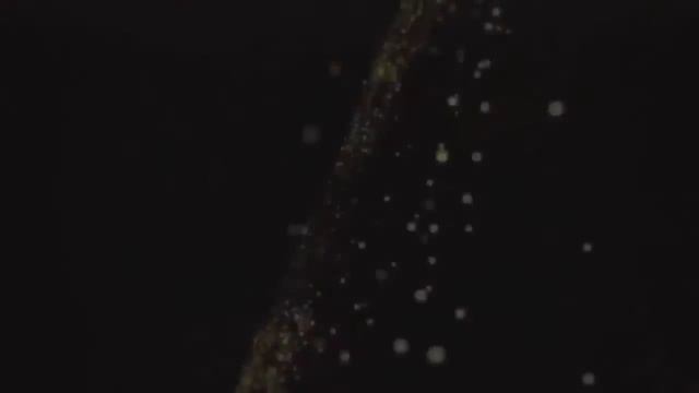 ТОП ИНТРО. TOP INTRO без текста #1 смотреть онлайн