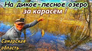 КАРАСЬ/ЛОВЛЯ КАРАСЯ ВЕСНОЙ/РЫБАЛКА НА ПОПЛАВОК/КАРАСЬ НА УДОЧКУ/ДИКОЕ ЛЕСНОЕ ОЗЕРО В САМАРСКОЙ ОБЛ.