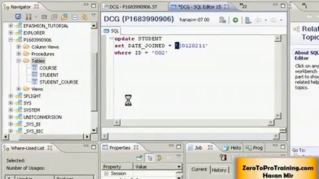 SAP HANA Studio Tutorial 12 - UPDATE Statement смотреть онлайн