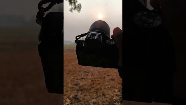 Nikon Z-50 Videography| Nikon camera #shortsvideo #photography #nikon #nikonz30 смотреть онлайн