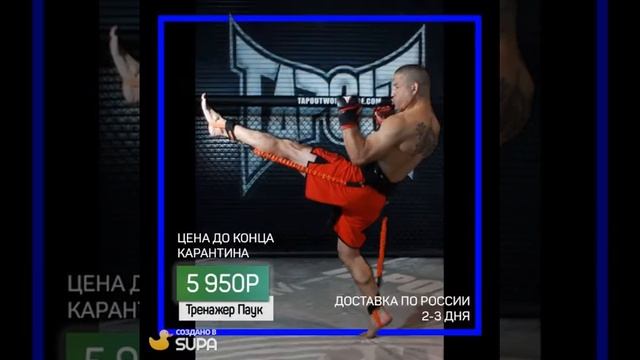 Тренажеры для единоборств КОБРА ПАУК смотреть онлайн