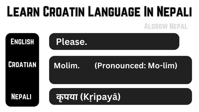 Learn Croatian Language In Nepali || Croatian Basic Sentences & Words In Nepali #croatian смотреть онлайн