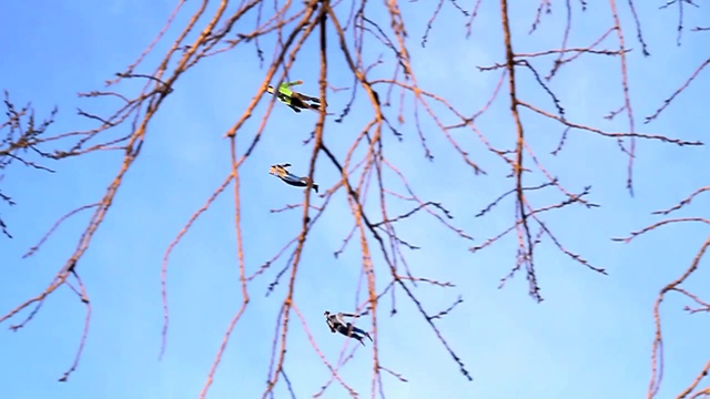 Летающие люди в Нью-Йорке смотреть онлайн