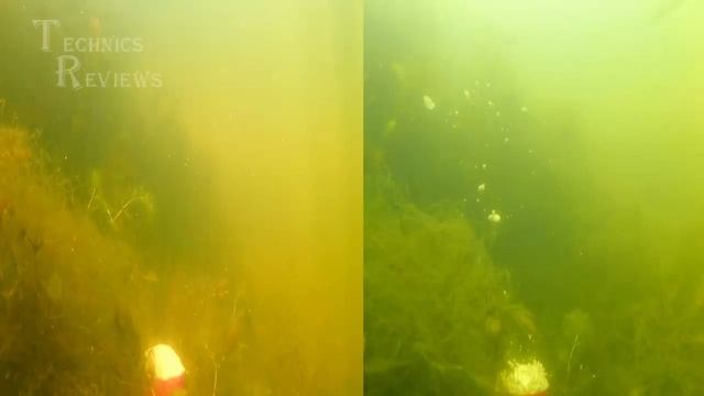 Сравнительный тест поведения под водой приманок или прикормок слева тесто с чесноком справа творог смотреть онлайн