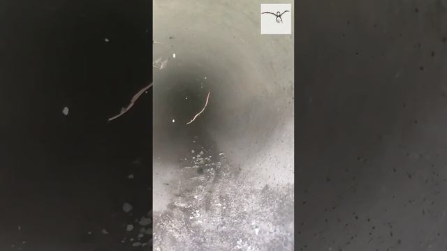 Ремонт ливневки. смотреть онлайн