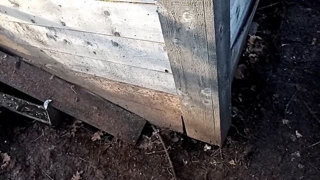 КАК ОБЪЕДИНИТЬ ВЗРОСЛЫХ КУР С МОЛОДЫМИ-HOW TO COMBINE ADULT CHICKENS WITH YOUNG ONES смотреть онлайн