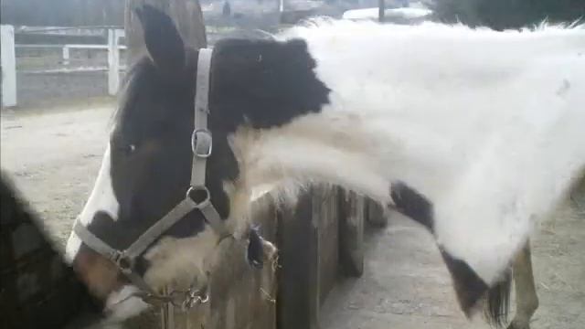 Fleur de Lys. BEAUTIFUL смотреть онлайн