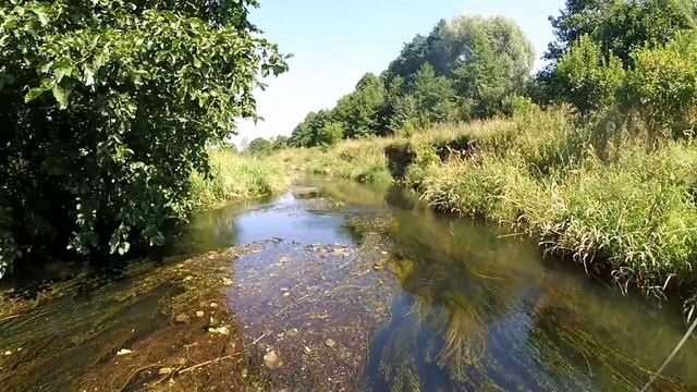 Елец на муху. Рыбалка нахлыстом как она есть. смотреть онлайн