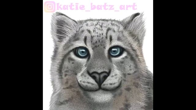 Рисуем снежного кота в Procreate | Speed painting: Snow cat смотреть онлайн
