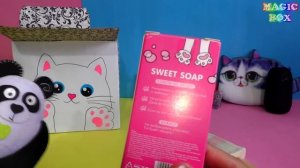 Котики Сюрприз бокс с кошками антистрессы, канцелярия, колонка