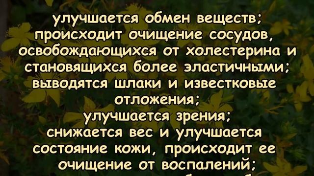 ДРЕВНИЙ РЕЦЕПТ МОЛОДОСТИ ОТ ТИБЕТСКИХ МОНАХОВ