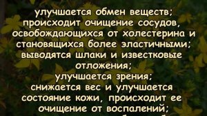 ДРЕВНИЙ РЕЦЕПТ МОЛОДОСТИ ОТ ТИБЕТСКИХ МОНАХОВ