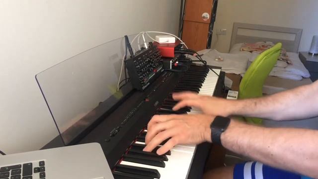 C#m G#m C#m D#m - Yamaha p255 digital piano and Roland SE-02 смотреть онлайн