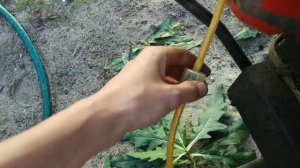 ОЖИВЛЯЮ И ВОССТАНАВЛИВАЮ МУРАВЬЯ! НОВЫЙ КАРБЮРАТОР НА МУРАВЕЙ