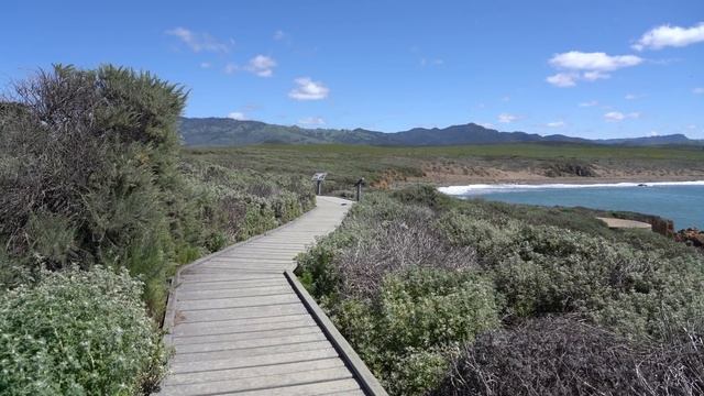12 Things to do in Cambria: A Travel Guide смотреть онлайн