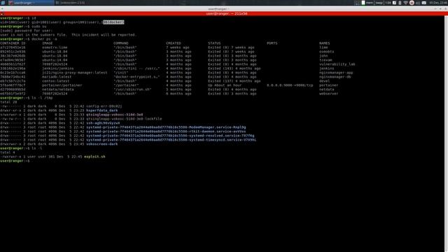 Escalating docker user into root [TRICK] смотреть онлайн
