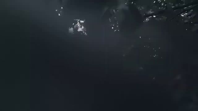 VID 20221005 182901 Сразу (К. Бальмонт)...Павел Васильев Лахтинский смотреть онлайн