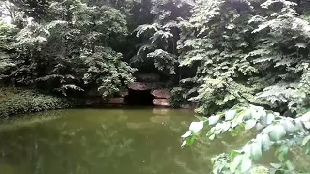 Софиевский парк: озеро