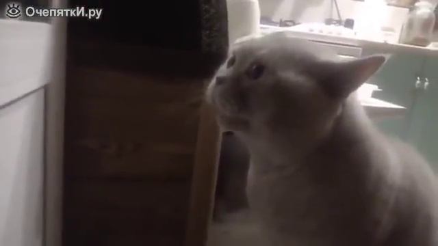 Открой мне дверь,человек смотреть онлайн