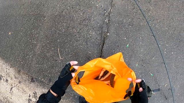 Ловля скумбрии с берега / Catch Mackerel From Pier