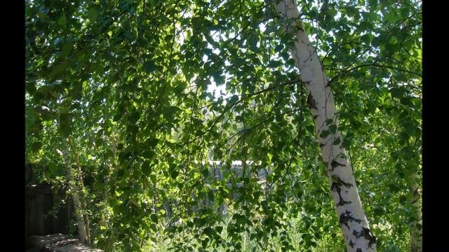 А Подболотов смотреть онлайн