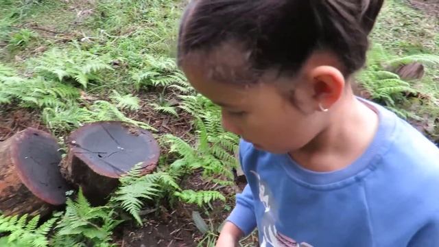 Bug Playground - For Real Bugs - Bug Hunt For Kids With Zoe and Daddy смотреть онлайн