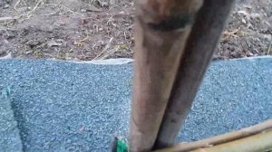 Как сделать плетень из ивы своими руками.