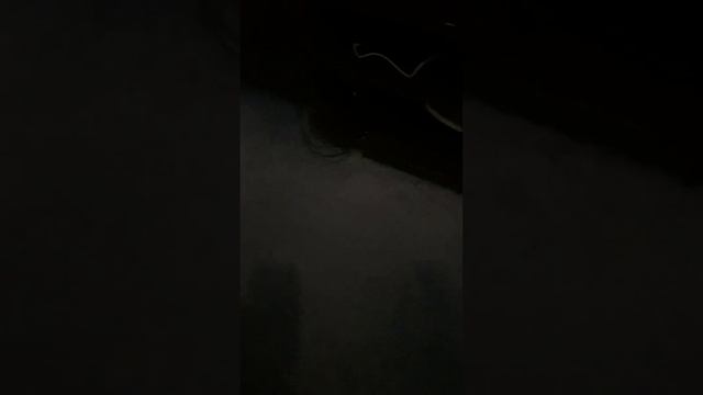 Gaborrus-Сын и Стихи (Серия 1)