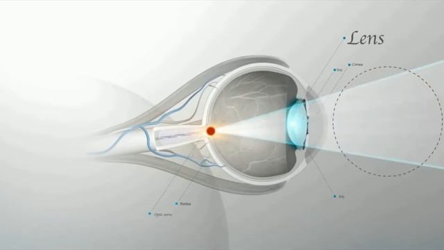 Приложения в помощь: защищаем зрение с помощью мобильного телефона