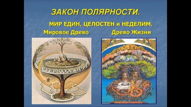 Закон притяжения смотреть онлайн