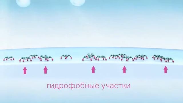 Раствор для линз BioTrue смотреть онлайн