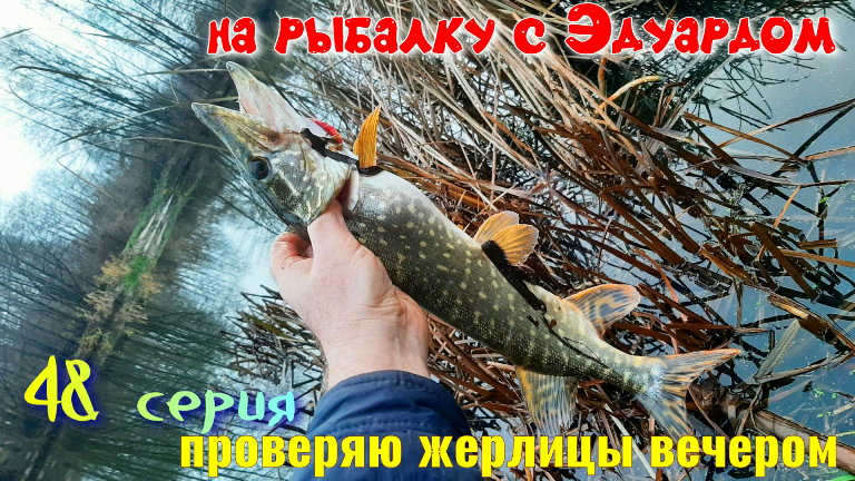 На Рыбалку с Эдуардом. Фильм 48. Проверяю Жерлицы Вечером смотреть онлайн