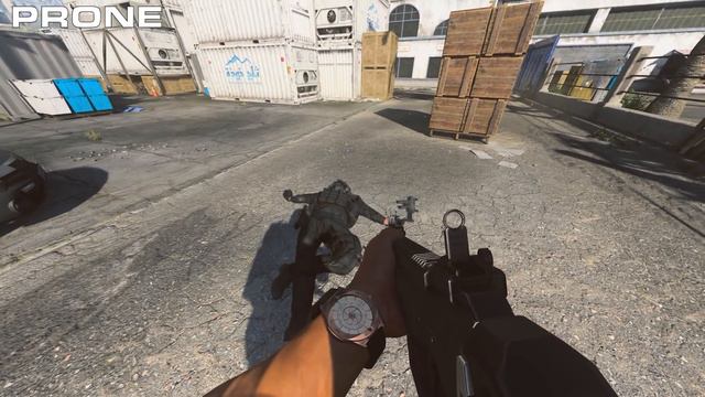 Modern Warfare Season 5 - New "Lerch" Operator Finishing Moves смотреть онлайн