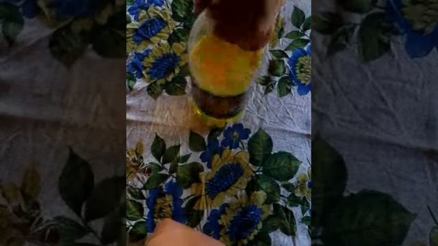 хвойный оранжевый превращается в неоновой желтый цвет смотреть онлайн