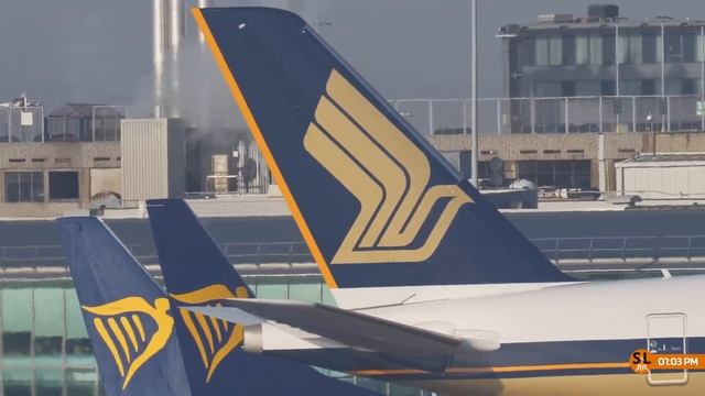 ?|  Manchester Airport  Live!   Thursday 19th |  #airport  #airportlife