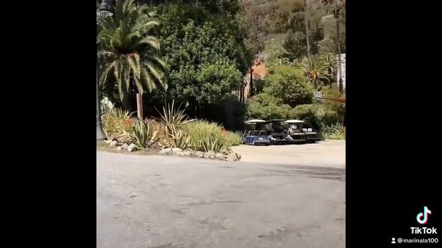 НА ОСТРОВЕ КАТАЛИНА ВЛЮБИЛАСЬ С ПЕРВОГО РАЗА... смотреть онлайн