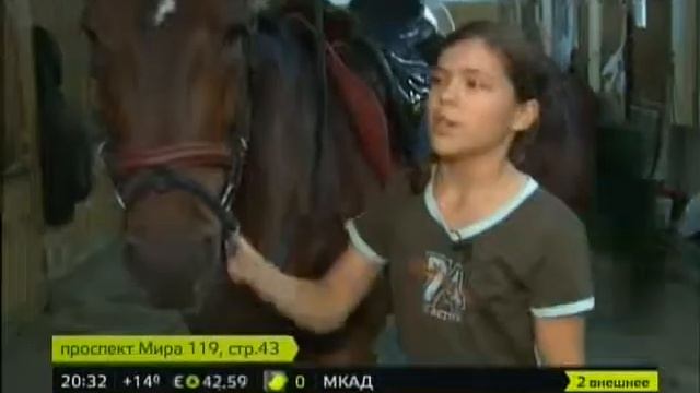 Школа верховной езды на ВВЦ смотреть онлайн