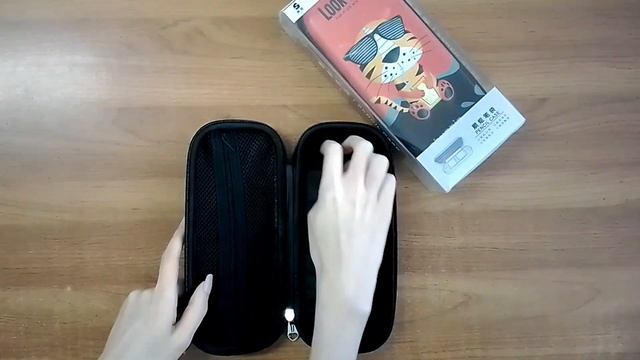 Школьный пенал на молнии, 225х100х50 мм, твердый, арт. SX2020119 смотреть онлайн