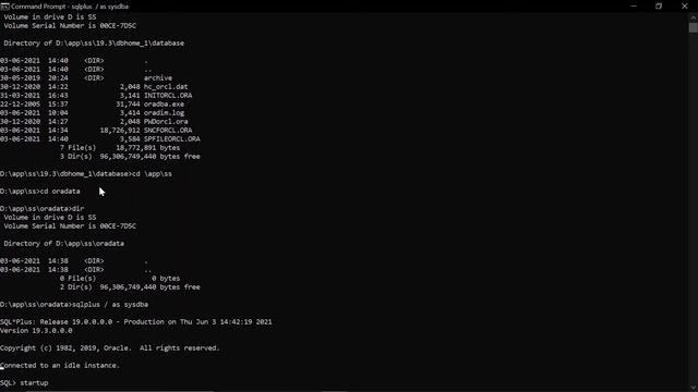 How To Restoring Oracle 19c Container and Pluggable Database using RMAN Backup смотреть онлайн