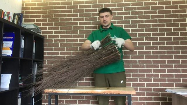 Березовая метла "Стандарт" смотреть онлайн